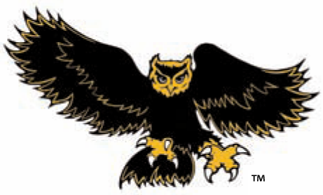 Kennesaw State Owls 1992-2011 Alternate Logo 02 iron on paper